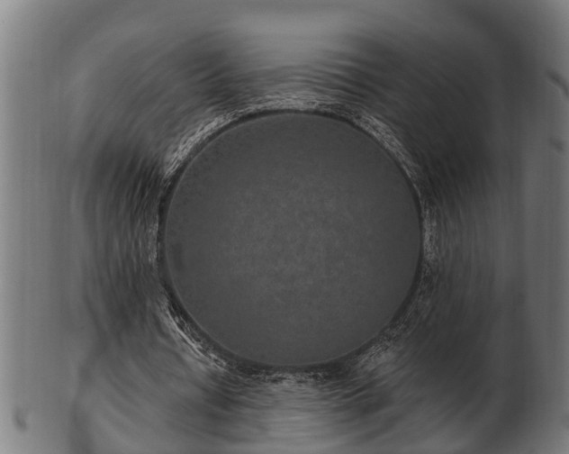 X0000103320434200809121151