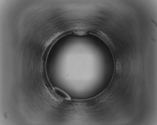 X0000103320436200809121151