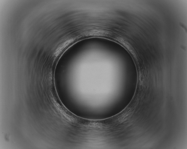 X0000103320437200809121151