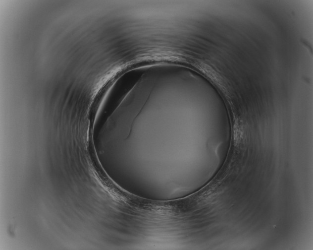 X0000103320438200809121151