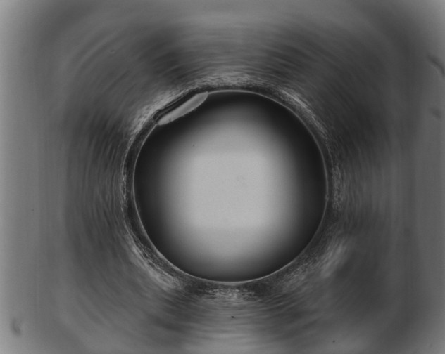 X0000103320439200809121151