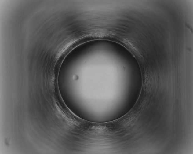 X0000103320440200809121151