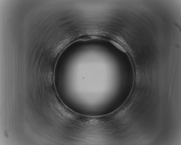 X0000103320441200809121151