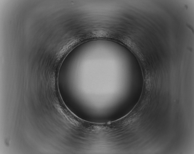 X0000103320442200809121151