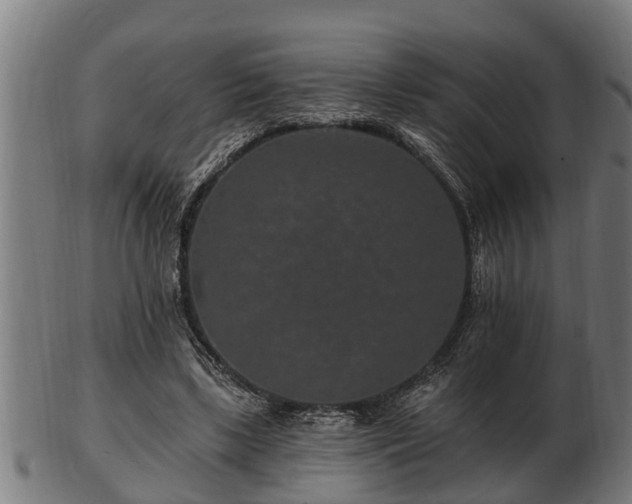 X0000103320443200809121151