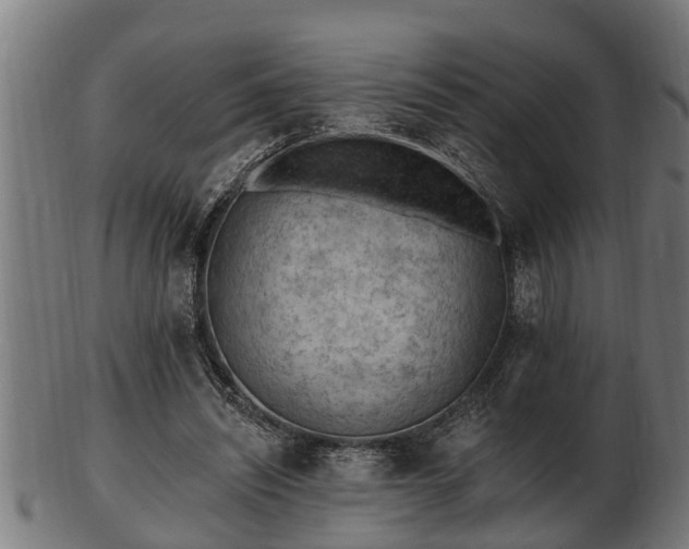 X0000103320444200809121151