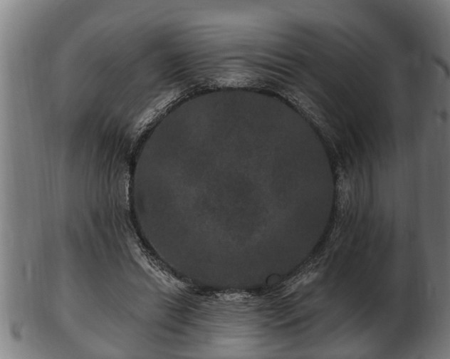 X0000103320446200809121151