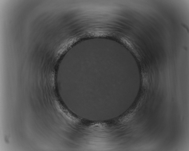 X0000103320447200809121152