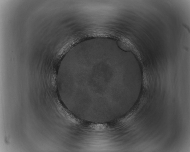 X0000103320449200809121152