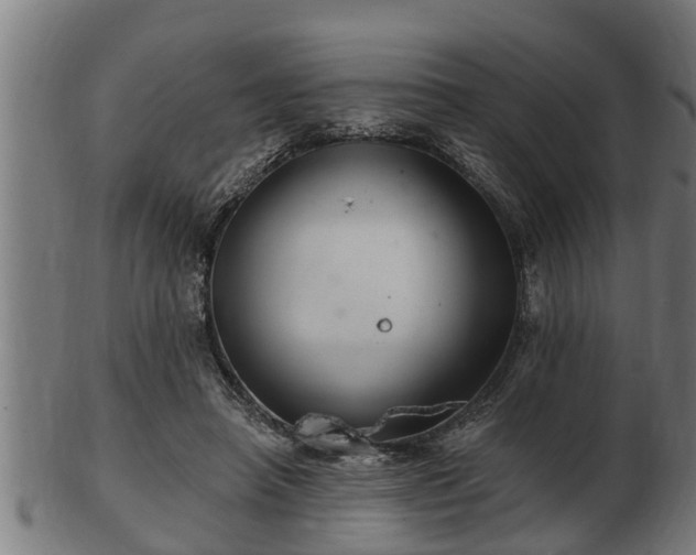 X0000103320450200809121152