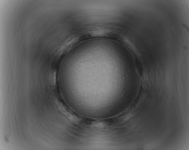 X0000103320454200809121152