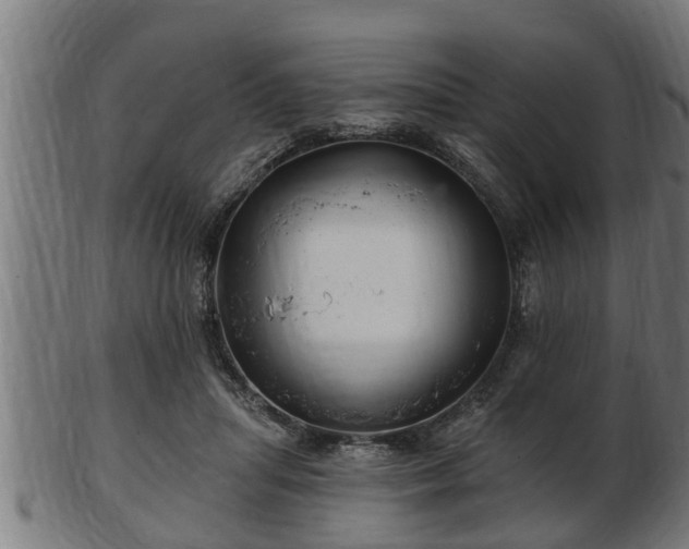 X0000103320455200809121152