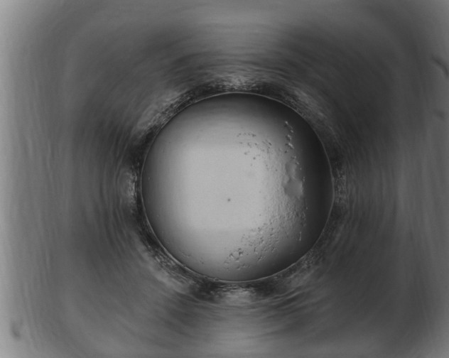 X0000103320456200809121152