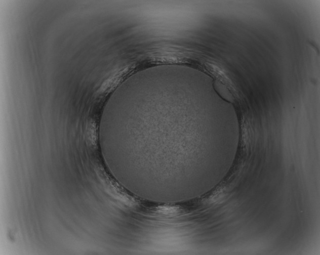 X0000103320457200809121152