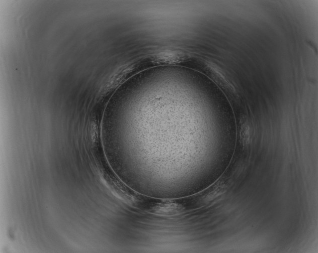 X0000103320459200809121152