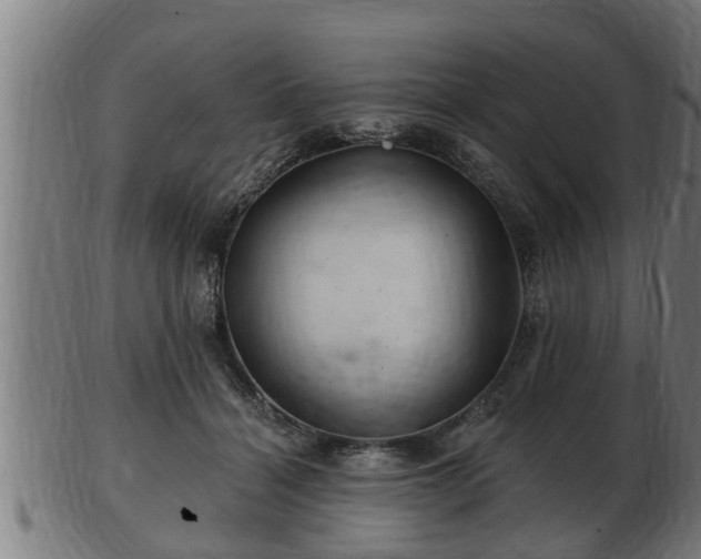 X0000103320460200809121152