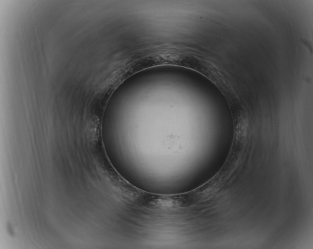 X0000103320464200809121152