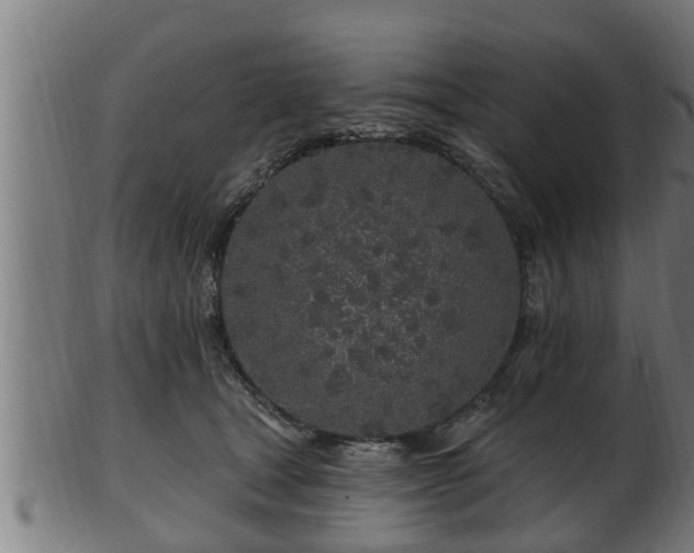 X0000103320465200809121152