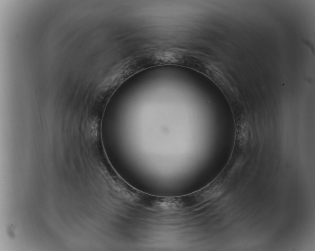 X0000103320466200809121152