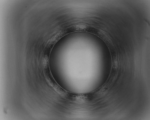 X0000103320468200809121152