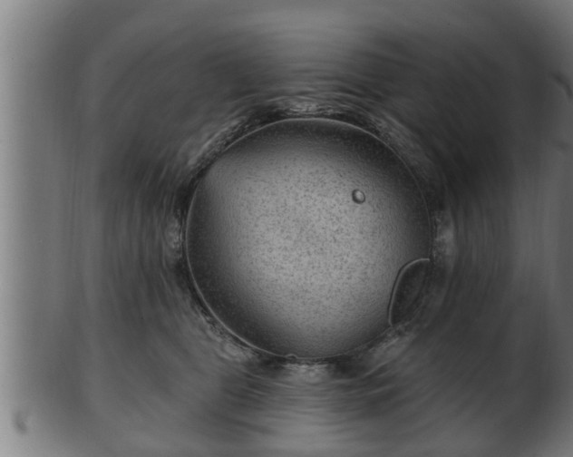 X0000103320469200809121152