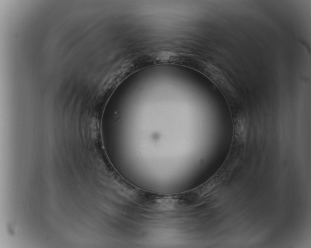 X0000103320470200809121152