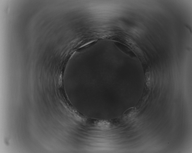 X0000103320471200809121152