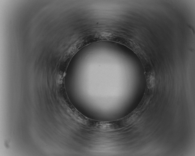 X0000103320472200809121152