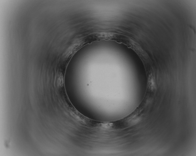 X0000103320474200809121152