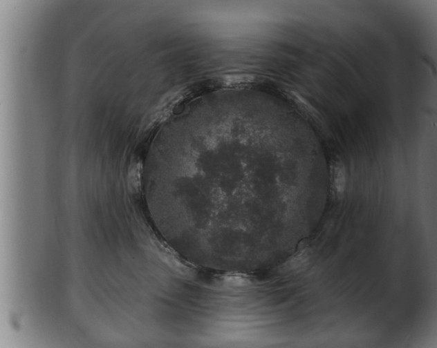 X0000103320475200809121152