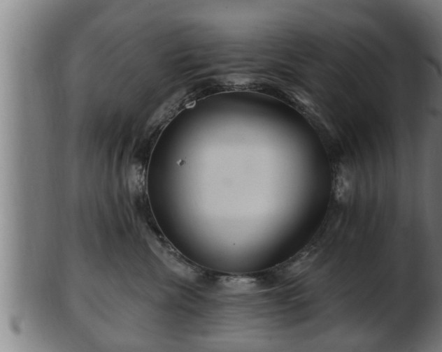 X0000103320476200809121152