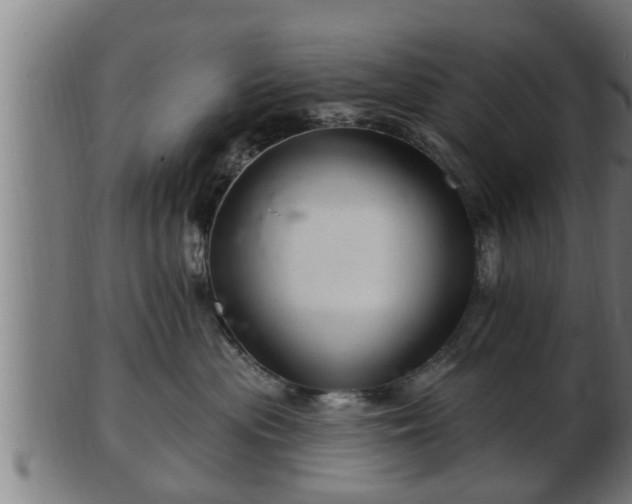 X0000103320477200809121152