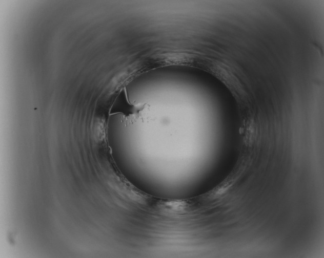 X0000103320478200809121152