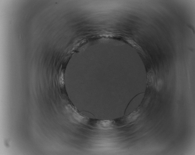 X0000103320479200809121152