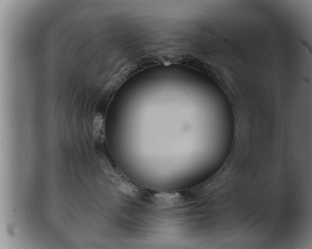 X0000103320480200809121152