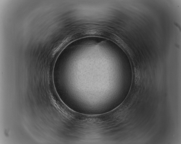 X0000103320482200809121151