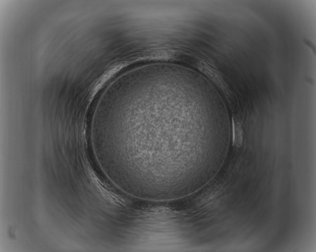 X0000103320483200809121151