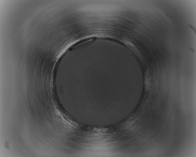 X0000103320484200809121151