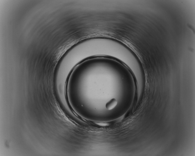 X0000103320485200809121151