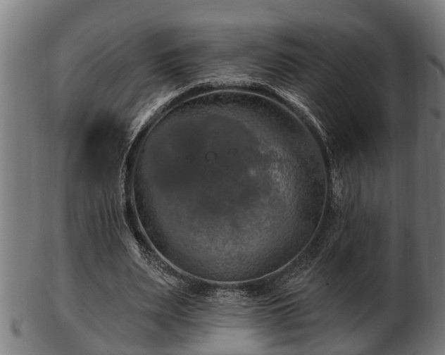 X0000103320487200809121151