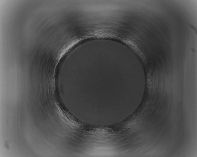 X0000103320488200809121151