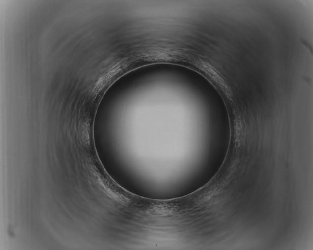 X0000103320489200809121151