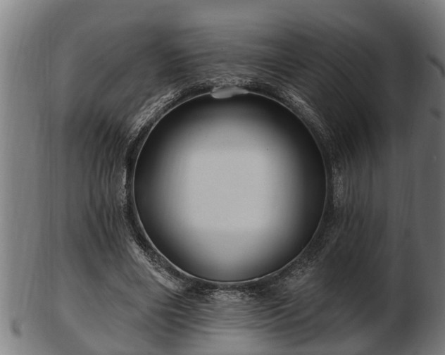 X0000103320490200809121151