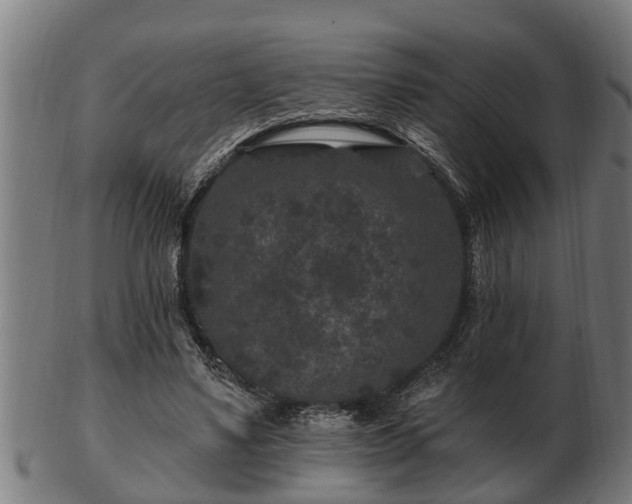 X0000103320491200809121151