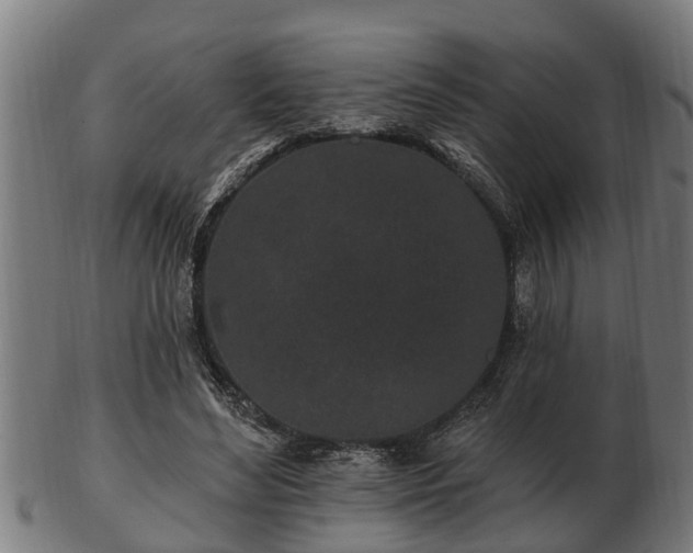 X0000103320492200809121151