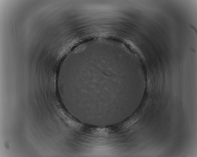 X0000103320493200809121151