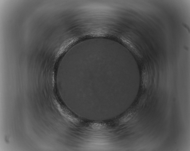 X0000103320494200809121151