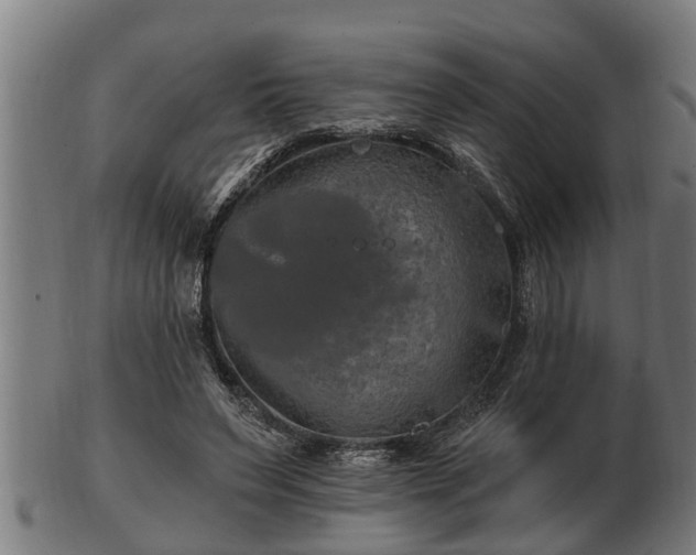 X0000103320495200809121151