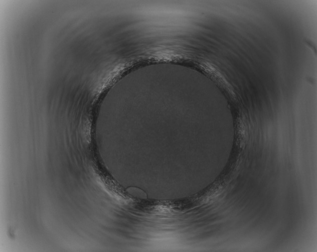 X0000103320496200809121151