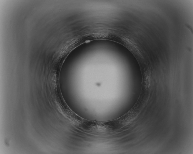 X0000103320498200809121151